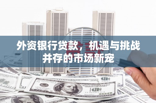 吐鲁番外资银行贷款，机遇与挑战并存的市场新宠