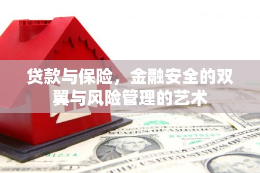吐鲁番贷款与保险，金融安全的双翼与风险管理的艺术