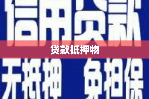 吐鲁番贷款抵押物