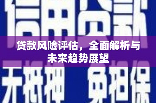 吐鲁番贷款风险评估，全面解析与未来趋势展望