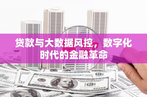 吐鲁番贷款与大数据风控，数字化时代的金融革命