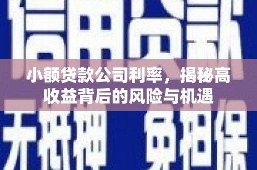 吐鲁番小额贷款公司利率，揭秘高收益背后的风险与机遇