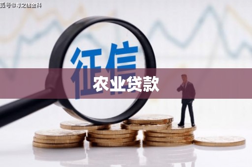 吐鲁番农业贷款