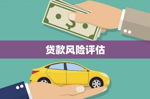 吐鲁番贷款风险评估