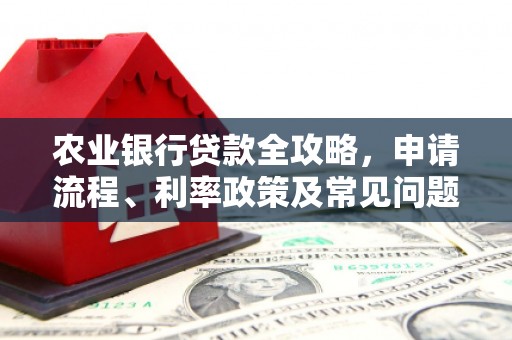 吐鲁番农业银行贷款全攻略，申请流程、利率政策及常见问题解析