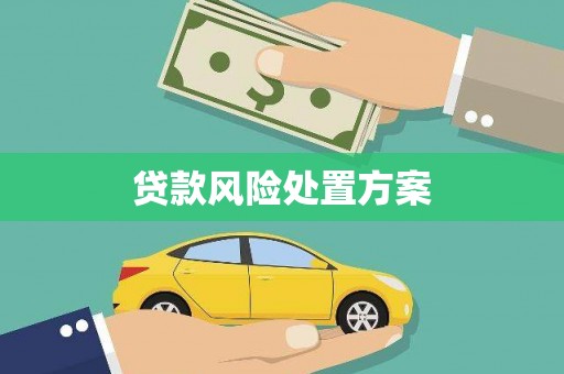 吐鲁番贷款风险处置方案