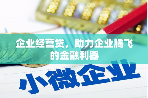 吐鲁番企业经营贷，助力企业腾飞的金融利器