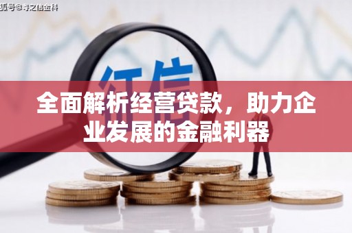 吐鲁番全面解析经营贷款，助力企业发展的金融利器