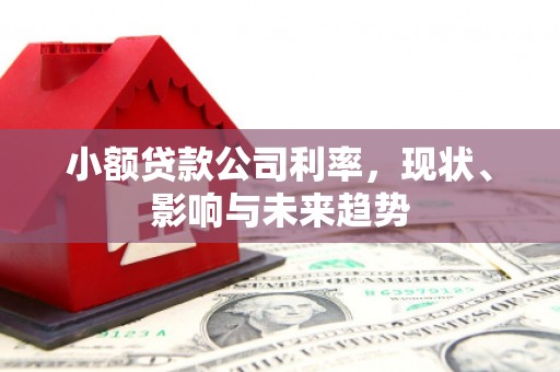 吐鲁番小额贷款公司利率，现状、影响与未来趋势
