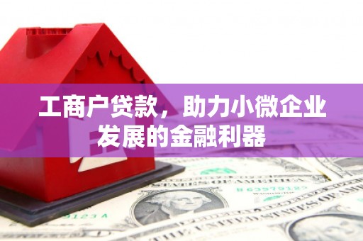 吐鲁番工商户贷款，助力小微企业发展的金融利器