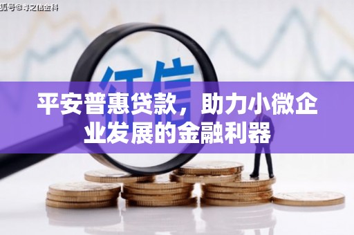 吐鲁番平安普惠贷款，助力小微企业发展的金融利器