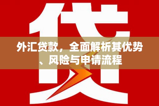 吐鲁番外汇贷款，全面解析其优势、风险与申请流程