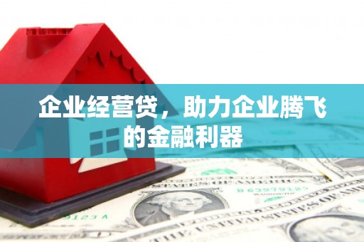 吐鲁番企业经营贷，助力企业腾飞的金融利器
