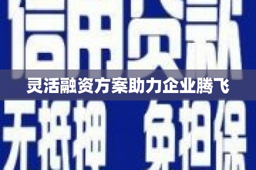 吐鲁番灵活融资方案助力企业腾飞