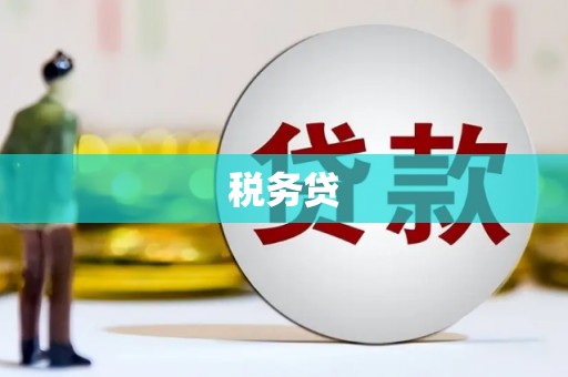 吐鲁番税务贷