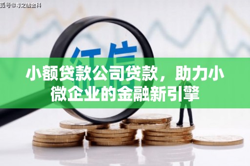 吐鲁番小额贷款公司贷款，助力小微企业的金融新引擎