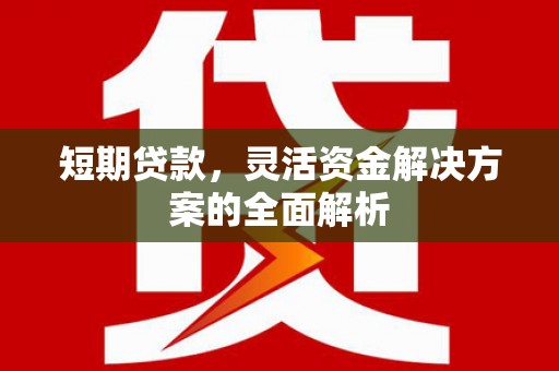 吐鲁番短期贷款，灵活资金解决方案的全面解析