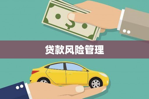 吐鲁番贷款风险管理