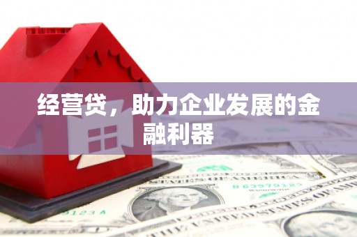 吐鲁番经营贷，助力企业发展的金融利器