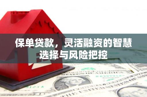 吐鲁番保单贷款，灵活融资的智慧选择与风险把控