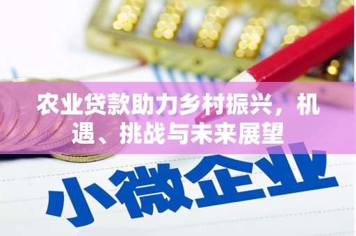 吐鲁番农业贷款助力乡村振兴，机遇、挑战与未来展望