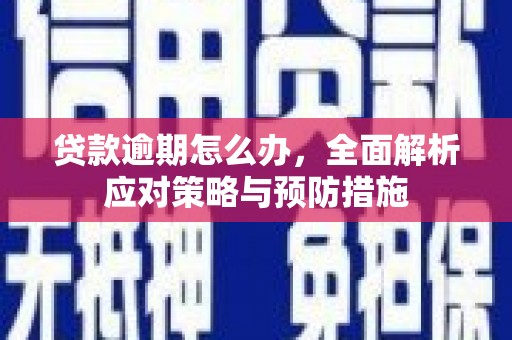 吐鲁番贷款逾期怎么办，全面解析应对策略与预防措施