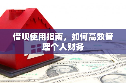 吐鲁番借呗使用指南，如何高效管理个人财务