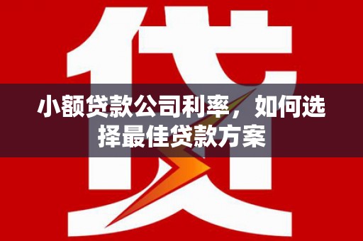 吐鲁番小额贷款公司利率，如何选择最佳贷款方案
