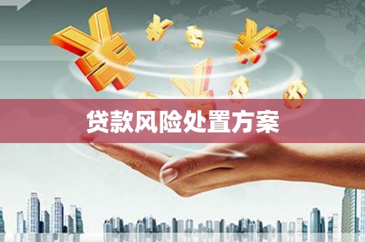 吐鲁番贷款风险处置方案