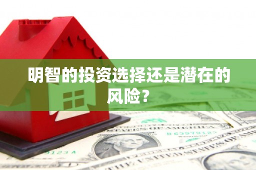 吐鲁番明智的投资选择还是潜在的风险？