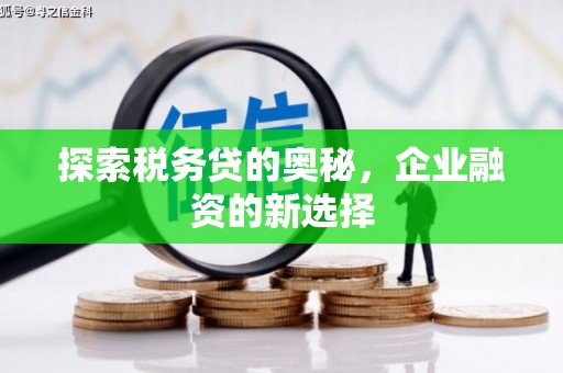 吐鲁番探索税务贷的奥秘，企业融资的新选择