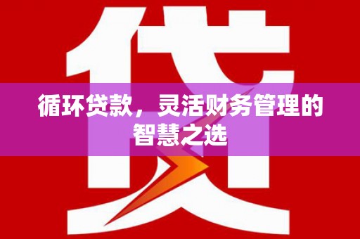 吐鲁番循环贷款，灵活财务管理的智慧之选