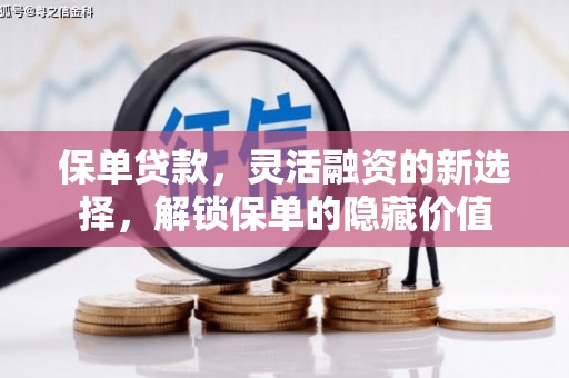 吐鲁番保单贷款，灵活融资的新选择，解锁保单的隐藏价值