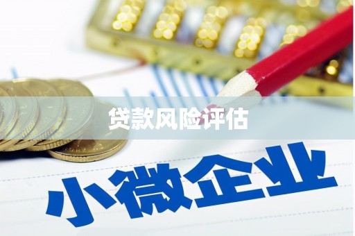 吐鲁番贷款风险评估