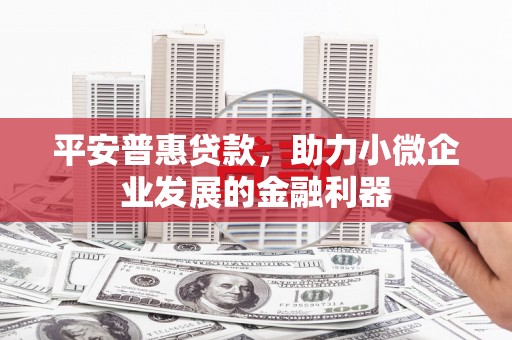 吐鲁番平安普惠贷款，助力小微企业发展的金融利器