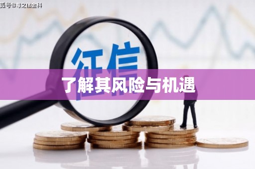 吐鲁番了解其风险与机遇
