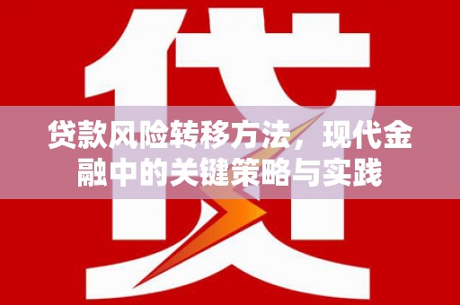 吐鲁番贷款风险转移方法，现代金融中的关键策略与实践