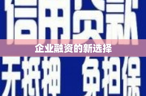 吐鲁番企业融资的新选择