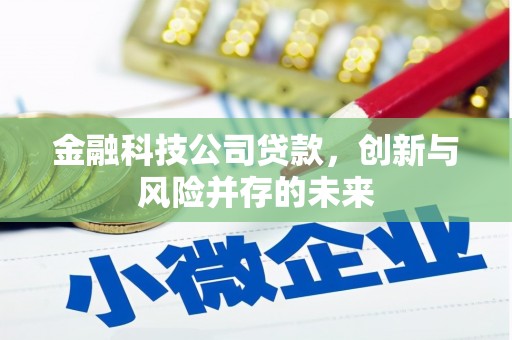吐鲁番金融科技公司贷款，创新与风险并存的未来