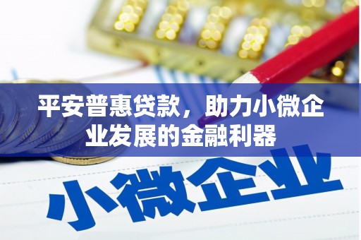 吐鲁番平安普惠贷款，助力小微企业发展的金融利器