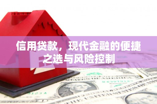 吐鲁番信用贷款，现代金融的便捷之选与风险控制