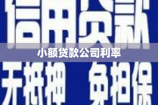吐鲁番小额贷款公司利率