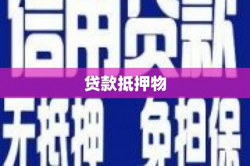 吐鲁番贷款抵押物