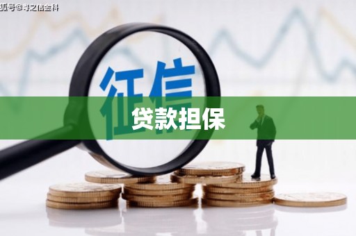 吐鲁番贷款担保