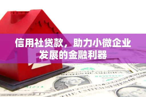 吐鲁番信用社贷款，助力小微企业发展的金融利器