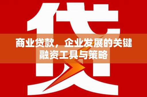 吐鲁番商业贷款，企业发展的关键融资工具与策略