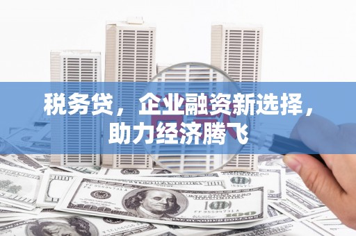 吐鲁番税务贷，企业融资新选择，助力经济腾飞