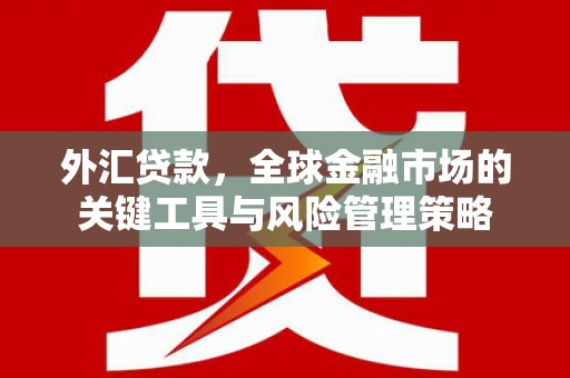 吐鲁番外汇贷款，全球金融市场的关键工具与风险管理策略