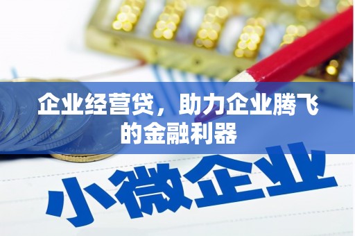 吐鲁番企业经营贷，助力企业腾飞的金融利器