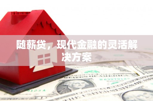 吐鲁番随薪贷，现代金融的灵活解决方案